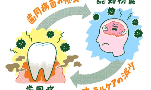 长白山青核桃皮的功效与作用网 - 长白山山核桃仁多少钱一斤,东北野生山核桃带青皮