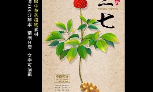 东北野生山核桃带青皮-长白山青核桃皮的功效与作用网 - 长白山山核桃仁多少钱一斤,东北野生山核桃带青皮