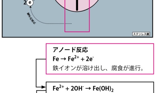 东北野生山核桃带青皮-长白山青核桃皮的功效与作用网 - 长白山山核桃仁多少钱一斤,东北野生山核桃带青皮